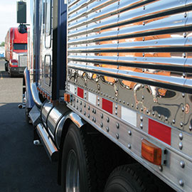 Trucks-and-Trailers-270x270.jpg